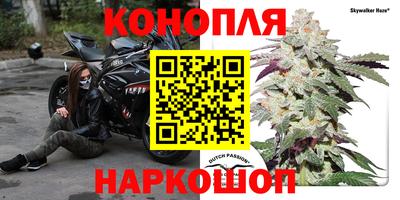 СК Изобильный