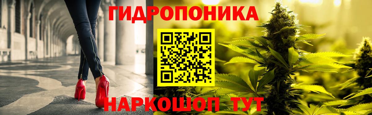 Нововоронеж  Каннабис гибрид  Бошки марихуана конопля  Вход с VPN  Бошки марихуана план 